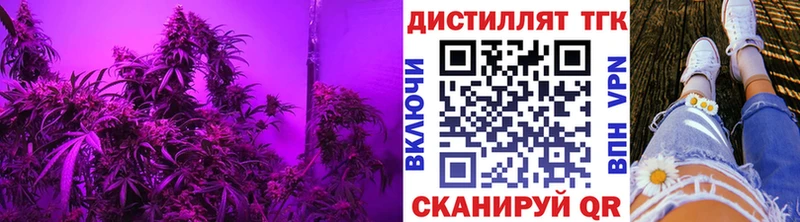 Купить  Дно  Дистиллят ТГК концентрат 