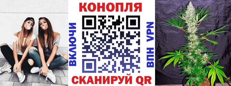 Купить где Дно Канабис Ganja